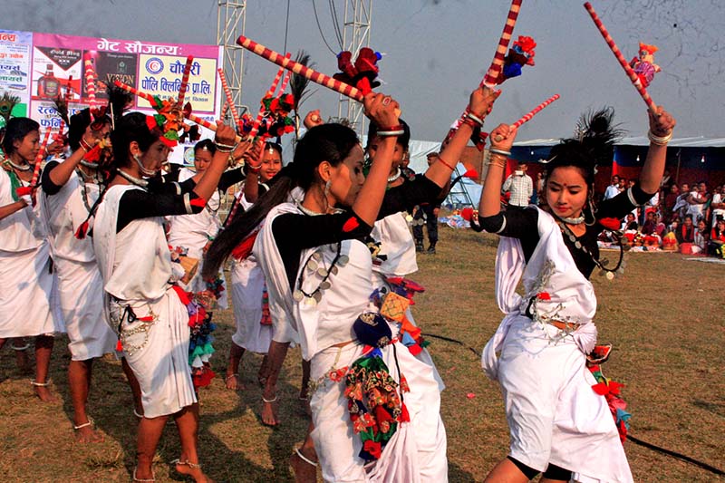 tharu people dancing on the ocassion of maghe sankranti